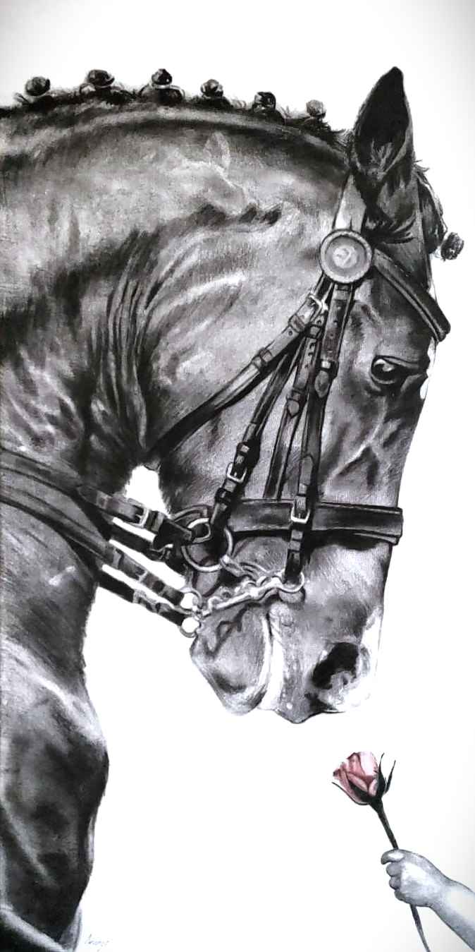 Horse 46x23_1650324687.jpeg